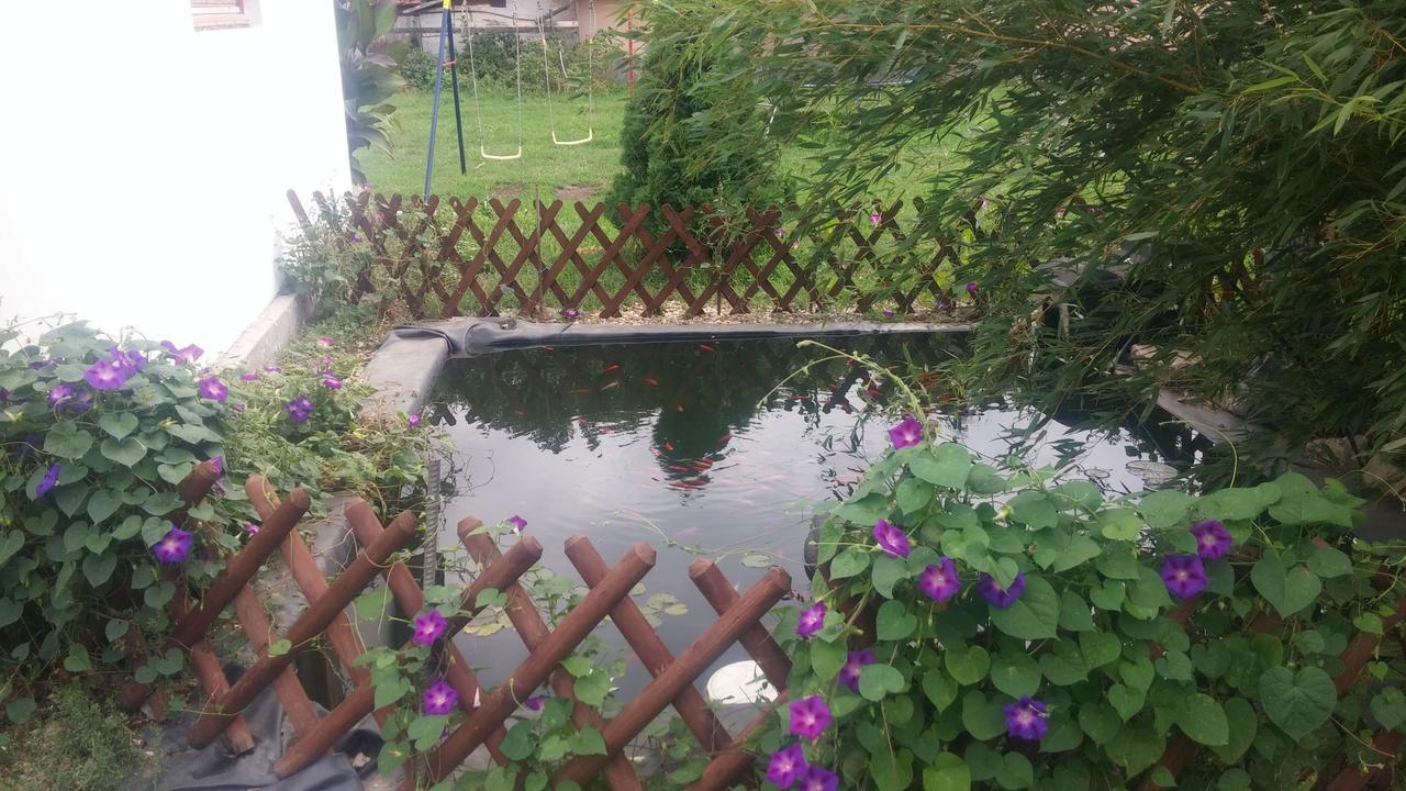 Ferienwohnung Rakoczi Vendeghaz Poroszló Exterior foto