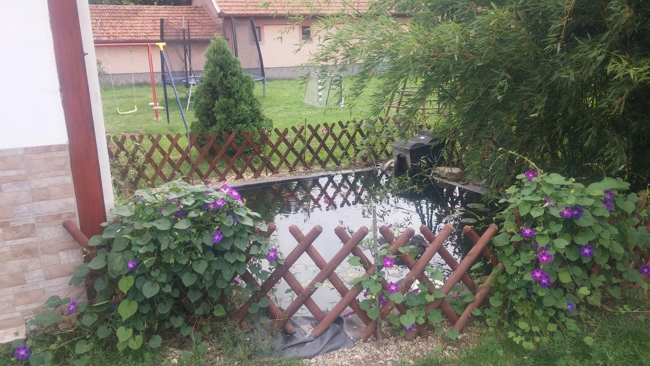 Ferienwohnung Rakoczi Vendeghaz Poroszló Exterior foto